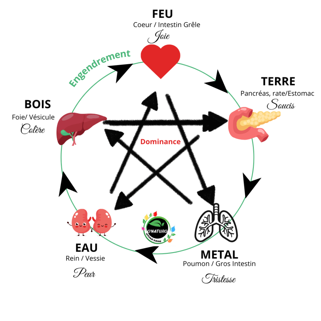 réflexologie énergétique chinoise